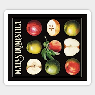 Vintage Apples tapestry Sticker